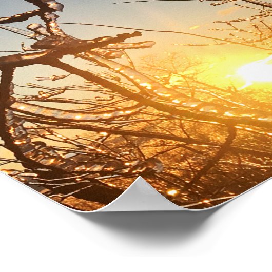 樹木肢氷柱 ポスター (角)