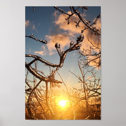 樹木肢氷柱 ポスター (正面)