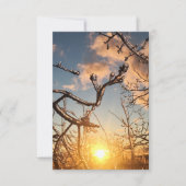 樹木肢氷柱 招待状 (正面)