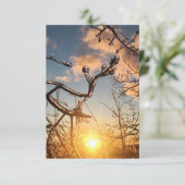 樹木肢氷柱 招待状 (スタンド正面)