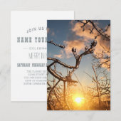 樹木肢氷柱 招待状 (正面/裏面)