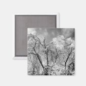 樹木衣服冬 マグネット (正面/裏面)