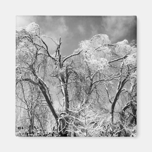 樹木衣服冬 マグネット (正面)