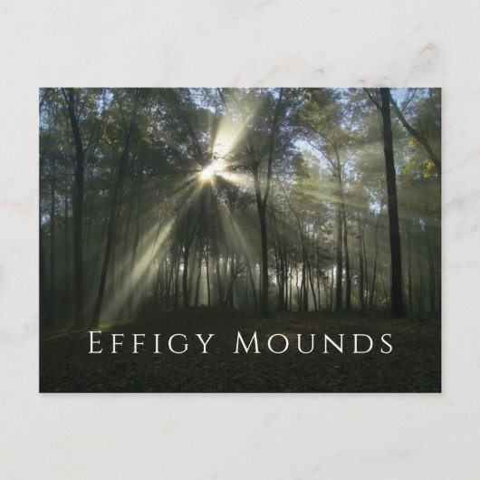 樹木越しの朝日、Effigy Mounds、IA ポストカード (正面)