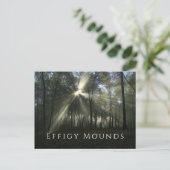 樹木越しの朝日、Effigy Mounds、IA ポストカード (スタンド正面)