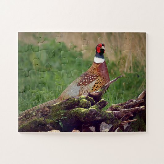 樹木野生生物落ちたによるキジの特大 ジグソーパズル (横)
