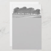 樹木限界線 便箋 (正面/裏面)