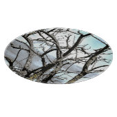 樹木 カッティングボード (角)