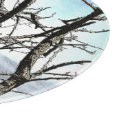 樹木 カッティングボード (角)