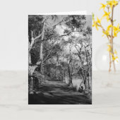 樹木 カード (黄色い花)