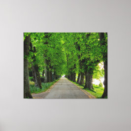 樹木 キャンバスプリント