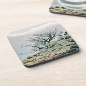 樹木 コースター (左側)