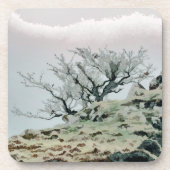 樹木 コースター (正面)