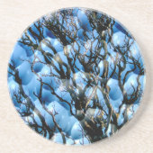 樹木 コースター (正面)