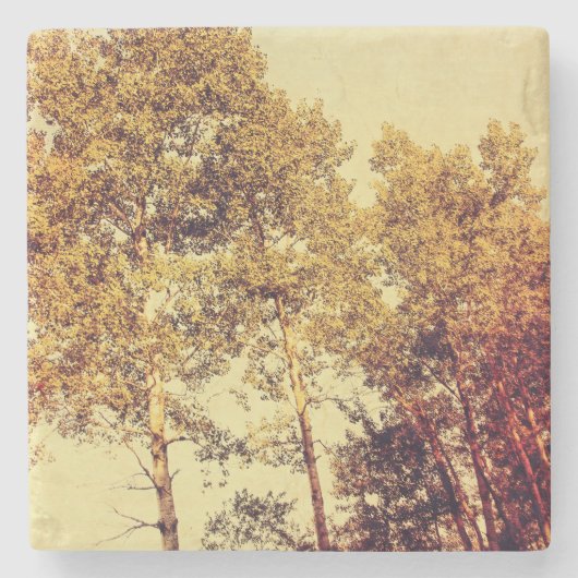 樹木 ストーンコースター (正面)