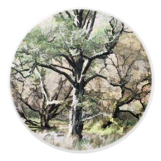 樹木 セラミックノブ (正面)