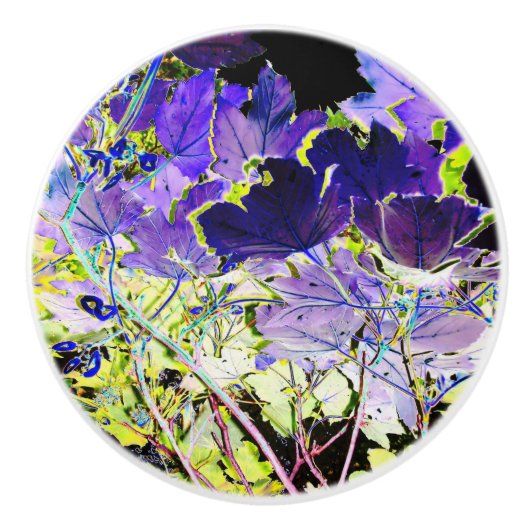 樹木 セラミックノブ (正面)