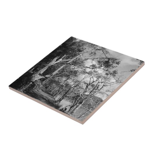 樹木 タイル (側面)