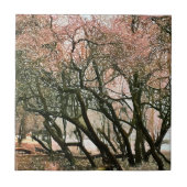 樹木 タイル (正面)