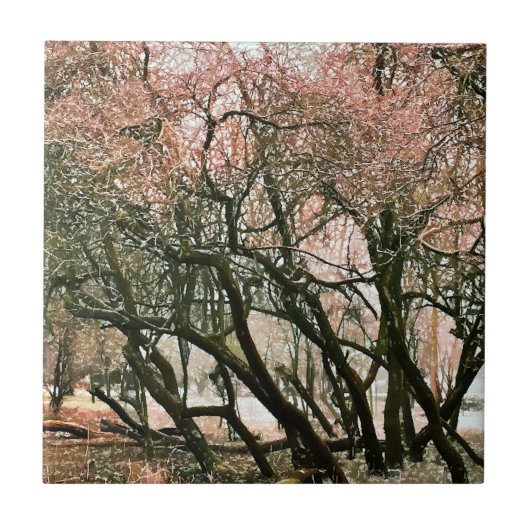 樹木 タイル (正面)