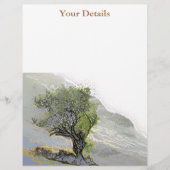 樹木 チラシ (正面)