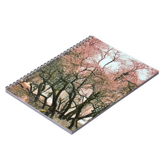 樹木 ノートブック (左側)