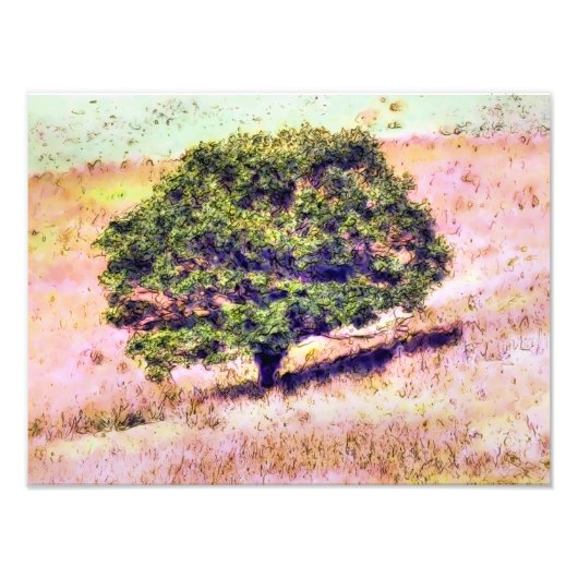 樹木 フォトプリント            (正面)