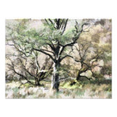 樹木 フォトプリント            (正面)