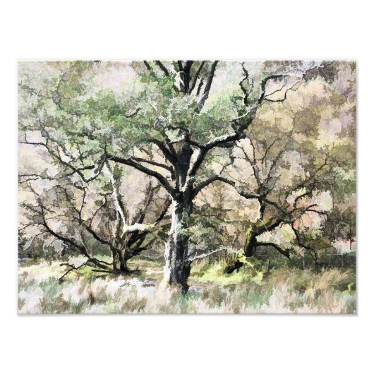 樹木 フォトプリント            (正面)