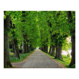 樹木 フォトプリント           