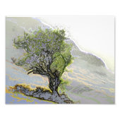 樹木 フォトプリント            (正面)