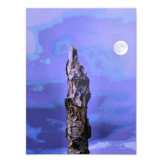 樹木 フォトプリント            (正面)