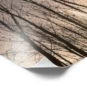 樹木 フォトプリント            (角)