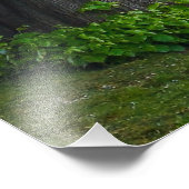 樹木 フォトプリント            (角)