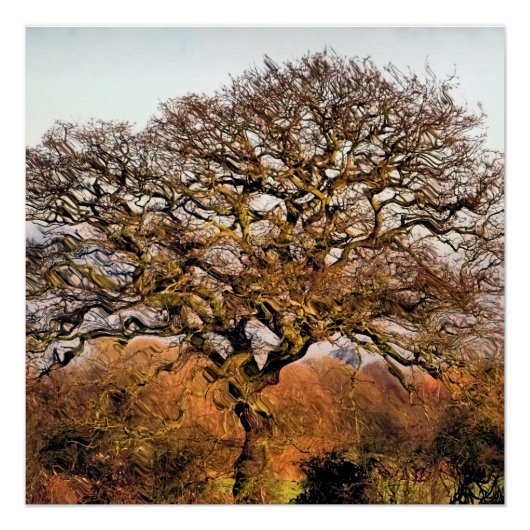 樹木 ポスター (正面)