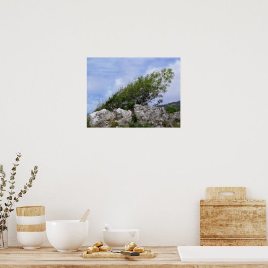 樹木 ポスター (キッチン)