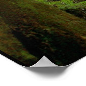 樹木 ポスター (角)