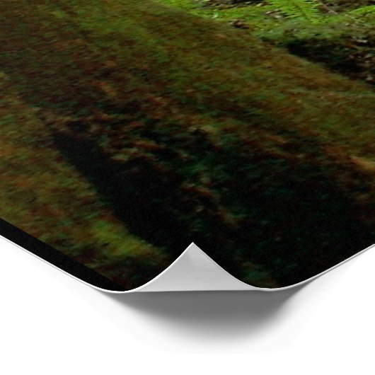 樹木 ポスター (角)