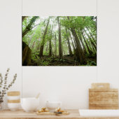 樹木 ポスター (キッチン)