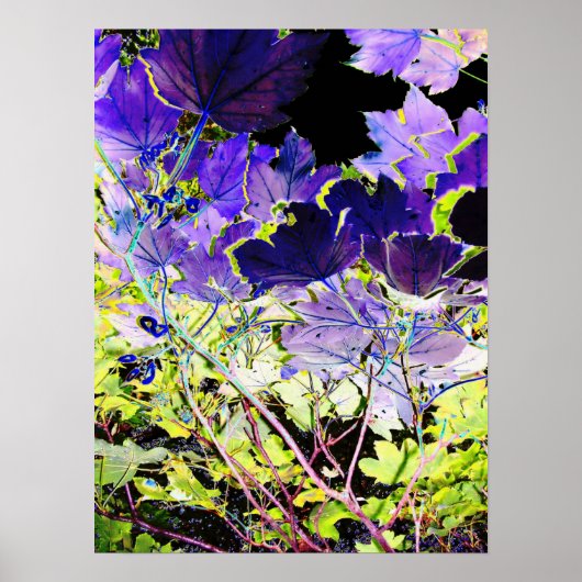 樹木 ポスター (正面)