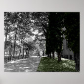 樹木 ポスター (正面)