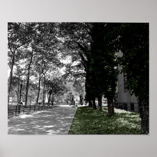 樹木 ポスター (正面)