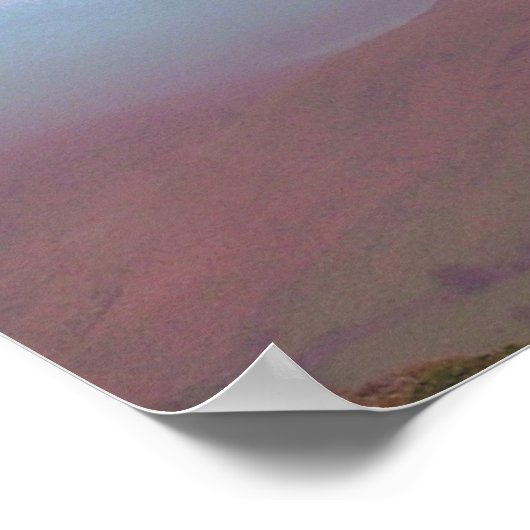 樹木 ポスター (角)