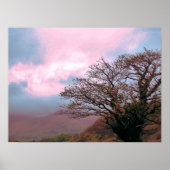 樹木 ポスター (正面)