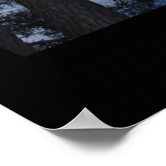 樹木 ポスター (角)