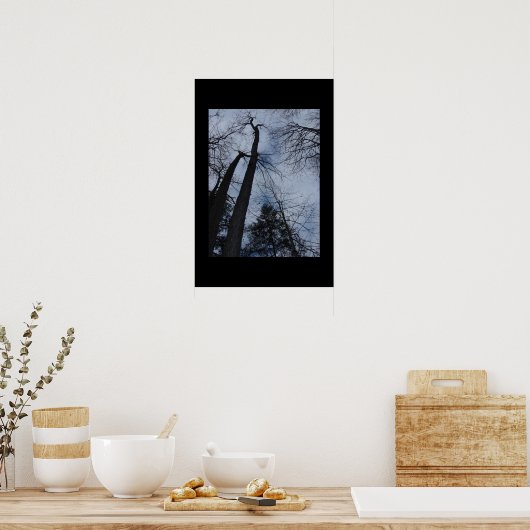 樹木 ポスター (キッチン)