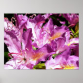 樹木 ポスター (正面)