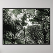 樹木 |ポスター ポスター (正面)