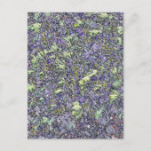 樹木 ポストカード (正面)