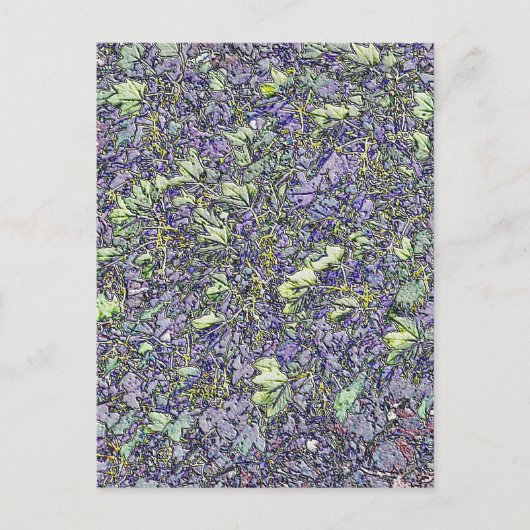 樹木 ポストカード (正面)